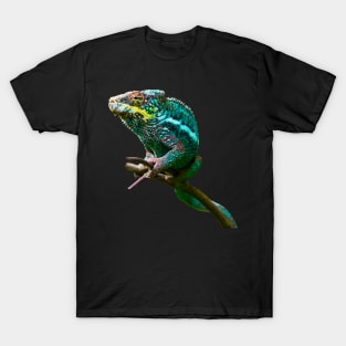 chameleon Zurich T-Shirt